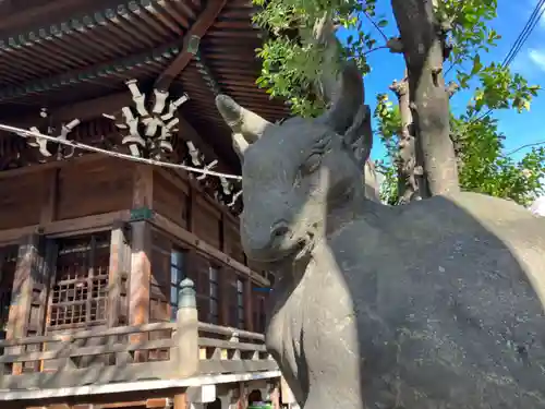牛嶋神社の狛犬