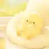 ゆゆさんのプロフィール画像