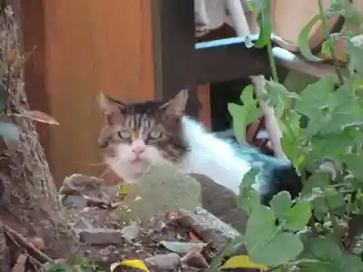 宗隆寺(神奈川県)