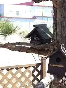 厚別神社(北海道)(2023年03月28日(火) 11時35分09秒投稿)