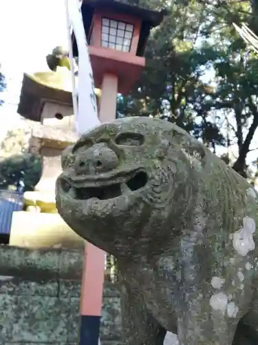 間々田八幡宮の狛犬