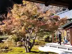 長壽寺（長寿寺）の自然