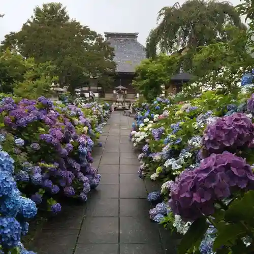 松源寺のその他建物