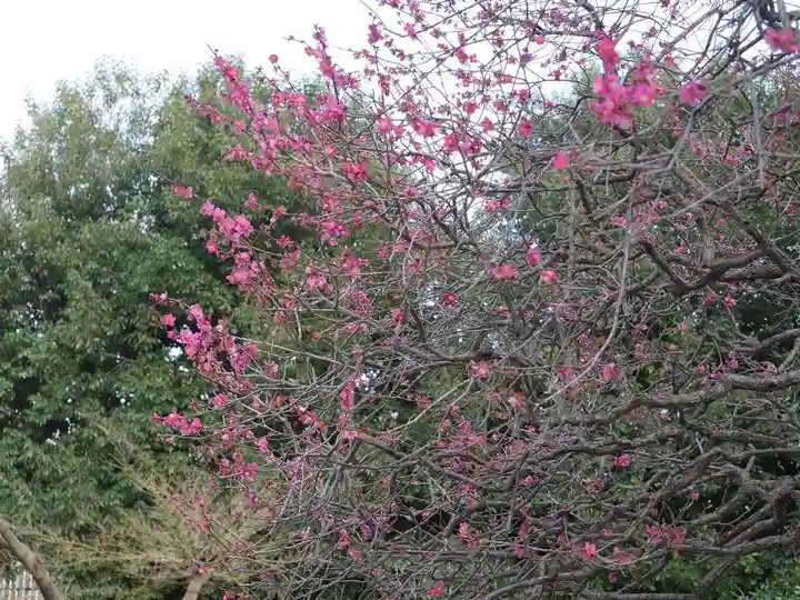 森巌寺のその他建物