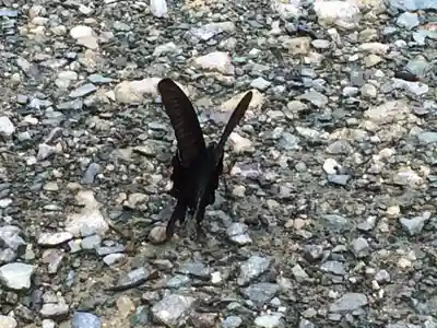 弘照院(福岡県)