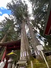 日光二荒山神社(栃木県)