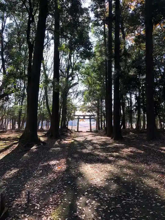 東蕗田天満社の自然