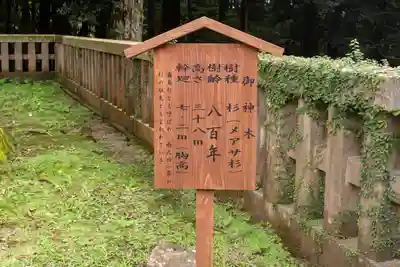 霧島神宮(鹿児島県)