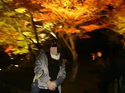 高台寺（高台寿聖禅寺・高臺寺）(京都府)