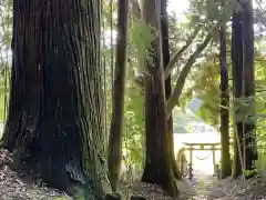 熊野神社の鳥居