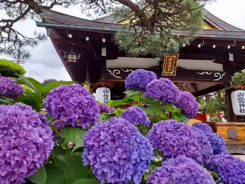 御霊神社の自然