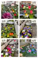 犀川神社の手水舎