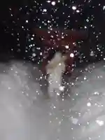 白狐山光星寺の鳥居