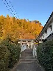 厳嶋神社の鳥居