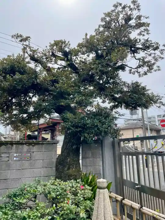 玄授院の{uncategorized: "未分類", other: "その他", undefined: "問題あり", building: "その他建物", grave: "お墓", sacred_gate: "鳥居", guardian: "狛犬", statue: "像", buddha: "仏像", history: "歴史", nature: "自然", garden: "庭園", animal: "動物", pagoda: "塔", temizu: "手水舎", mountain_gate: "山門・神門", sanctuary: "本殿・本堂", subordinate: "末社・摂社", art: "芸術", scenery: "景色", jizo: "地蔵", ema: "絵馬", goshuin: "御朱印", omikuji: "おみくじ", items: "授与品その他", amulet: "お守り", goshuincho: "御朱印帳", eats: "食事", festival: "お祭り", votive_dance: "神楽", shichigosan: "七五三参", wedding: "結婚式", experience: "体験その他", initially: "初詣", around: "周辺", anti_infection: "感染症対策"}