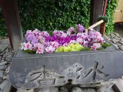 於菊稲荷神社の手水舎