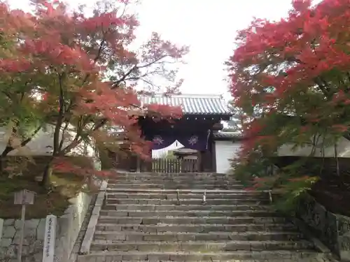 曼殊院門跡の山門