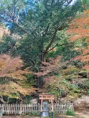 金剛院(京都府)