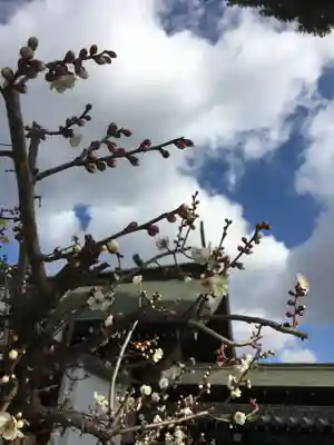 山田天満宮の自然