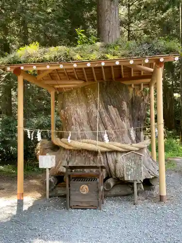 小國神社の{uncategorized: "未分類", other: "その他", undefined: "問題あり", building: "その他建物", grave: "お墓", sacred_gate: "鳥居", guardian: "狛犬", statue: "像", buddha: "仏像", history: "歴史", nature: "自然", garden: "庭園", animal: "動物", pagoda: "塔", temizu: "手水舎", mountain_gate: "山門・神門", sanctuary: "本殿・本堂", subordinate: "末社・摂社", art: "芸術", scenery: "景色", jizo: "地蔵", ema: "絵馬", goshuin: "御朱印", omikuji: "おみくじ", items: "授与品その他", amulet: "お守り", goshuincho: "御朱印帳", eats: "食事", festival: "お祭り", votive_dance: "神楽", shichigosan: "七五三参", wedding: "結婚式", experience: "体験その他", initially: "初詣", around: "周辺", anti_infection: "感染症対策"}