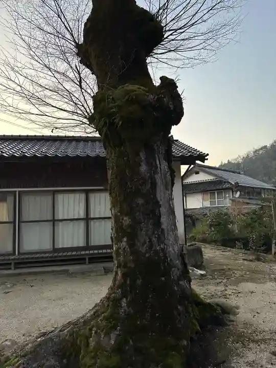 海潮神社の{uncategorized: "未分類", other: "その他", undefined: "問題あり", building: "その他建物", grave: "お墓", sacred_gate: "鳥居", guardian: "狛犬", statue: "像", buddha: "仏像", history: "歴史", nature: "自然", garden: "庭園", animal: "動物", pagoda: "塔", temizu: "手水舎", mountain_gate: "山門・神門", sanctuary: "本殿・本堂", subordinate: "末社・摂社", art: "芸術", scenery: "景色", jizo: "地蔵", ema: "絵馬", goshuin: "御朱印", omikuji: "おみくじ", items: "授与品その他", amulet: "お守り", goshuincho: "御朱印帳", eats: "食事", festival: "お祭り", votive_dance: "神楽", shichigosan: "七五三参", wedding: "結婚式", experience: "体験その他", initially: "初詣", around: "周辺", anti_infection: "感染症対策"}