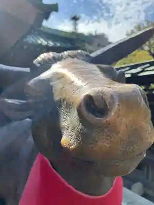 湯島天満宮(東京都)