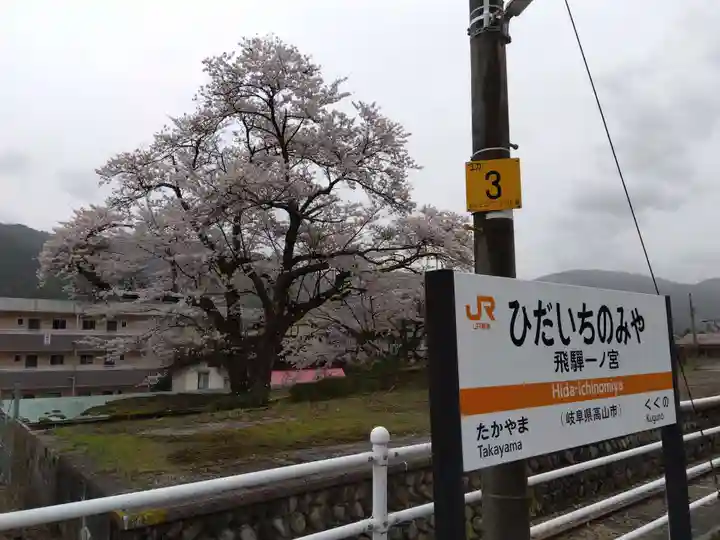 大幢寺(岐阜県)