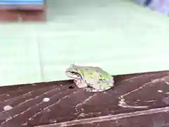 菱野健功神社の動物