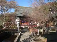 来迎寺(長野県)