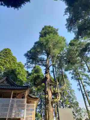 頭川神社の自然