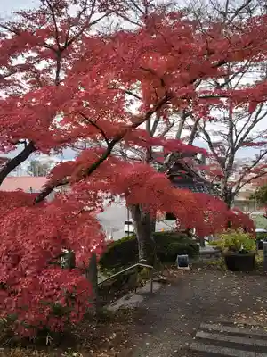 普門院（文知摺観音）(福島県)