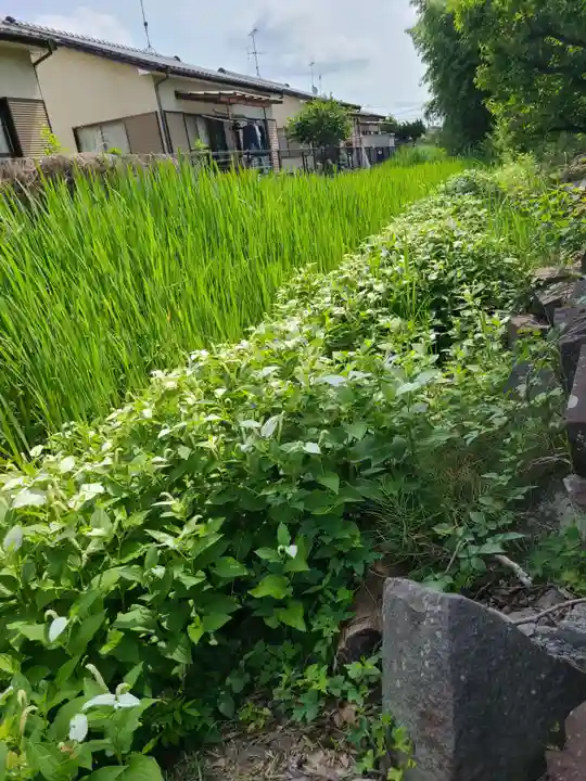 牛嶋天満宮の自然