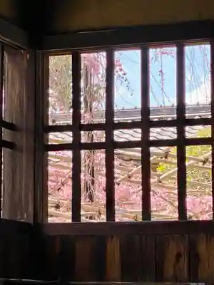 妙蓮寺(京都府)