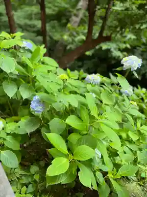 佐助稲荷神社(神奈川県)