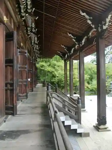 禅林寺（永観堂）の本殿・本堂