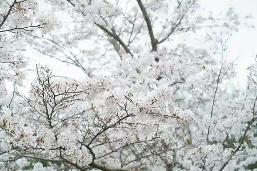 神谷稲荷明神社の自然