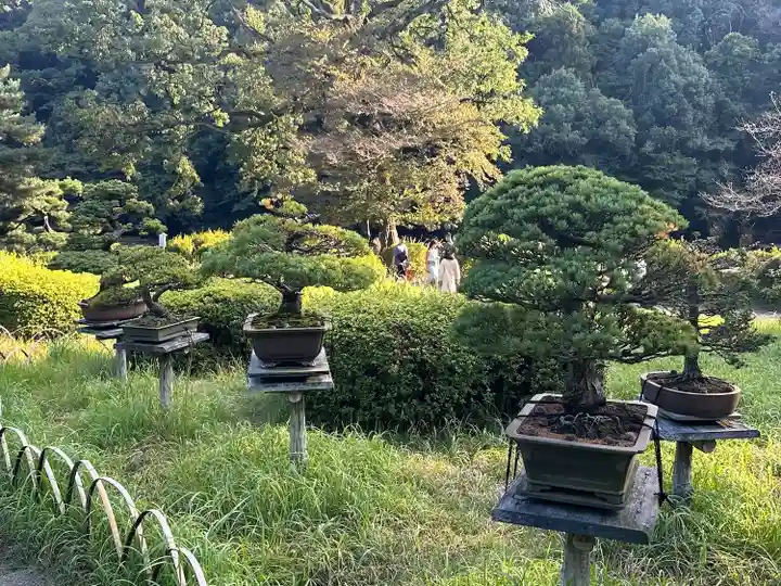 明治神宮(東京都)