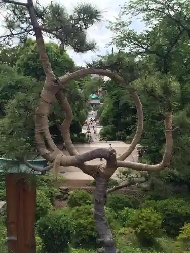 清水観音堂の自然