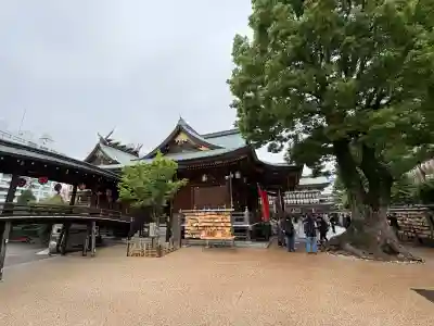 湯島天満宮の{uncategorized: "未分類", other: "その他", undefined: "問題あり", building: "その他建物", grave: "お墓", sacred_gate: "鳥居", guardian: "狛犬", statue: "像", buddha: "仏像", history: "歴史", nature: "自然", garden: "庭園", animal: "動物", pagoda: "塔", temizu: "手水舎", mountain_gate: "山門・神門", sanctuary: "本殿・本堂", subordinate: "末社・摂社", art: "芸術", scenery: "景色", jizo: "地蔵", ema: "絵馬", goshuin: "御朱印", omikuji: "おみくじ", items: "授与品その他", amulet: "お守り", goshuincho: "御朱印帳", eats: "食事", festival: "お祭り", votive_dance: "神楽", shichigosan: "七五三参", wedding: "結婚式", experience: "体験その他", initially: "初詣", around: "周辺", anti_infection: "感染症対策"}
