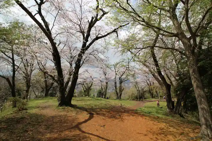 浅間神社(神奈川県)