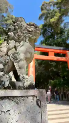 春日大社(奈良県)