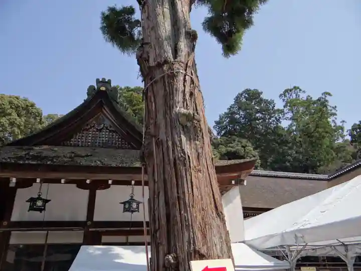 大神神社(奈良県)