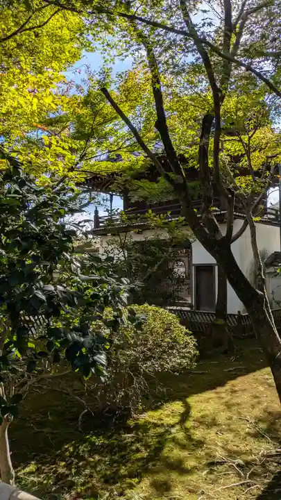 元慶寺(京都府)