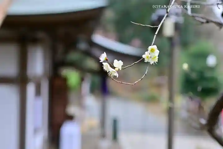 永谷天満宮(神奈川県)