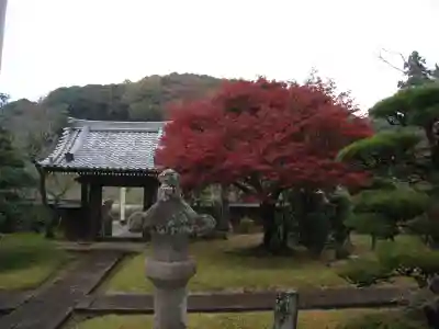 妙法華寺(静岡県)