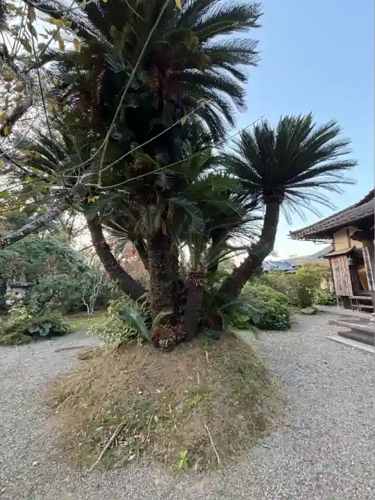 王楽寺(宮崎県)