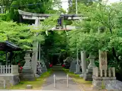 舟津神社の鳥居