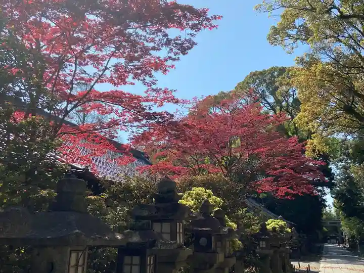 石清水八幡宮(京都府)
