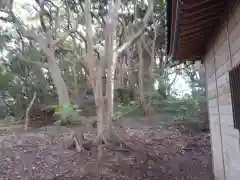 富士神社の建物その他