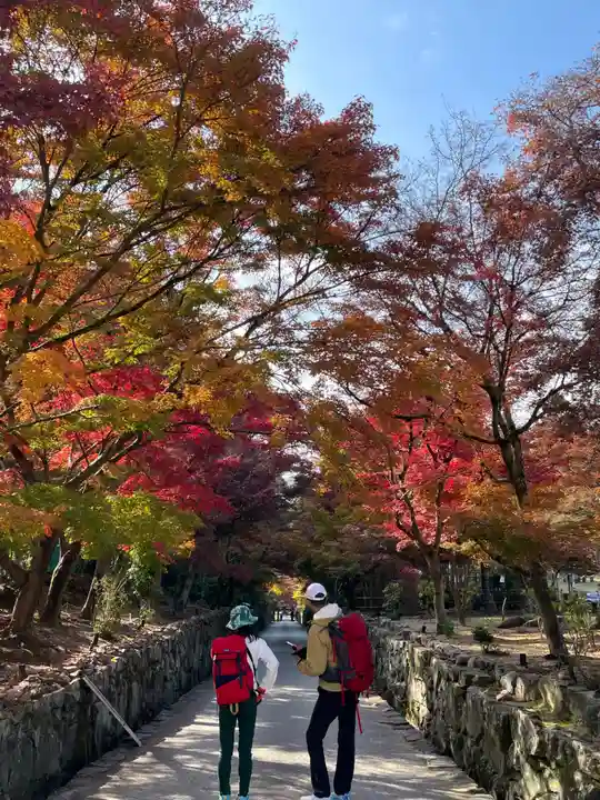 興聖寺(興聖寶林禅寺)(京都府)